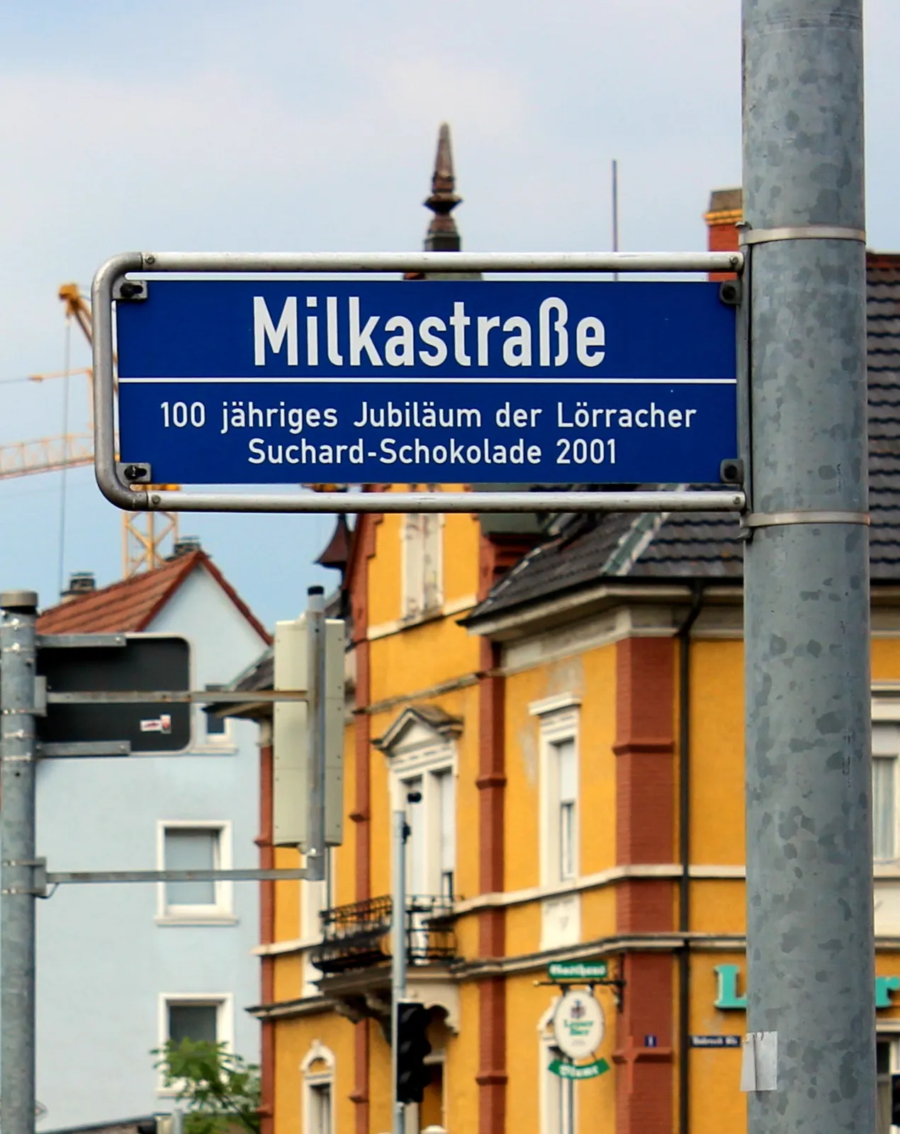 Milka-Kühe