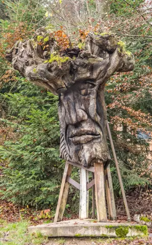 Der Wurzelkopf