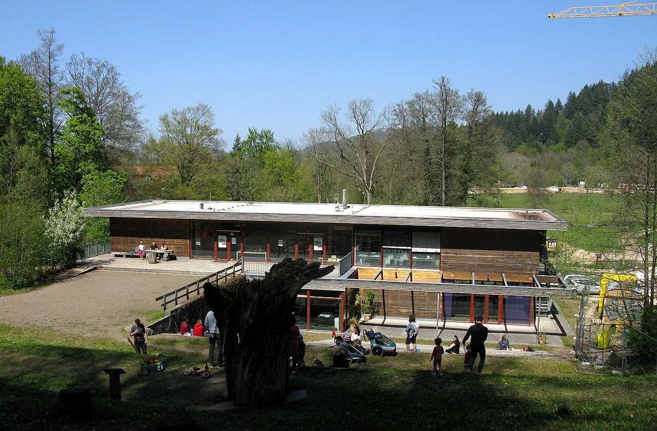 die Baumwelt