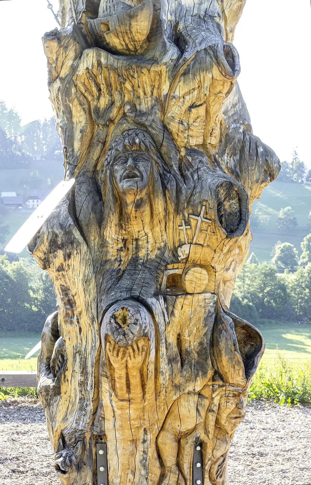 Baum der Erkenntnis
