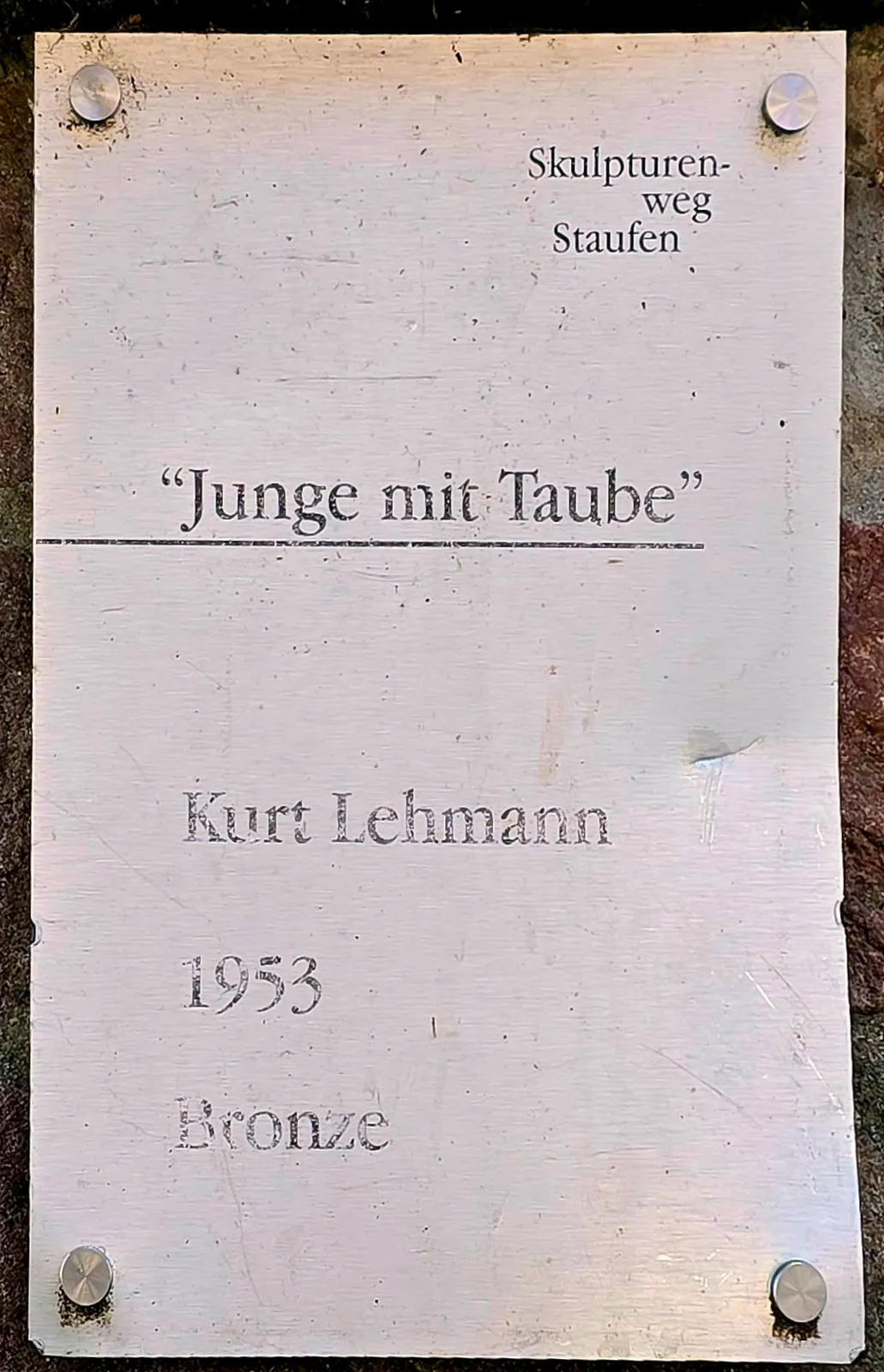 Junge mit Taube