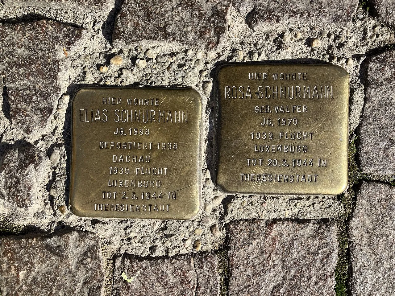 Vogelwesen