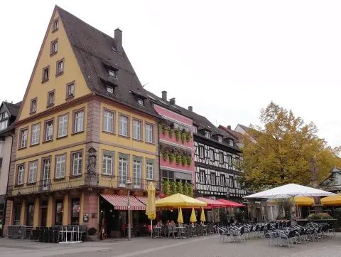 Schlange