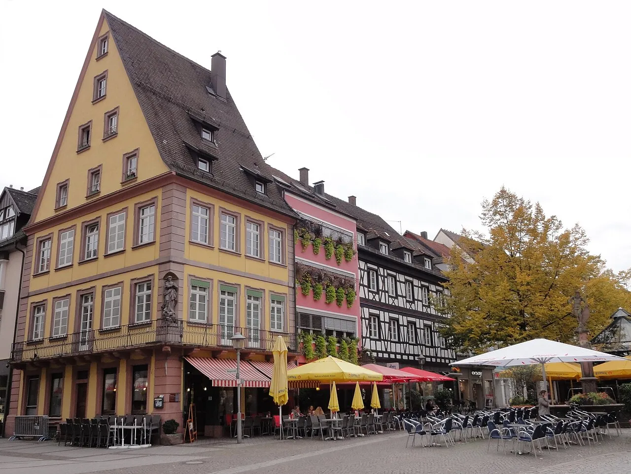 Schlange