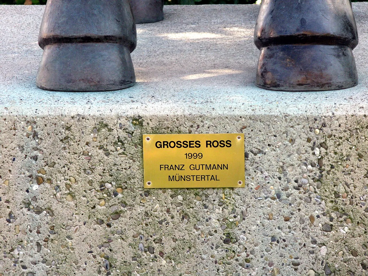 Grosses Ross 1999