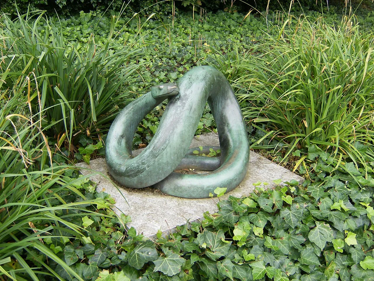 Schlange