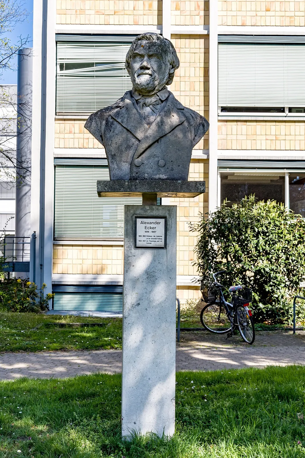 Alexander Ecker