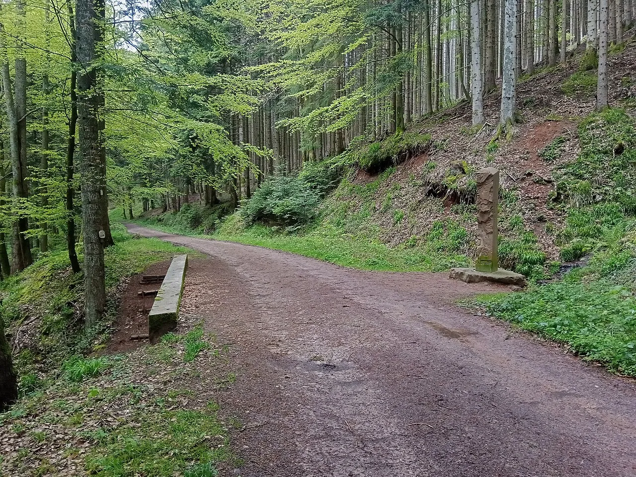 Source de la Bruche