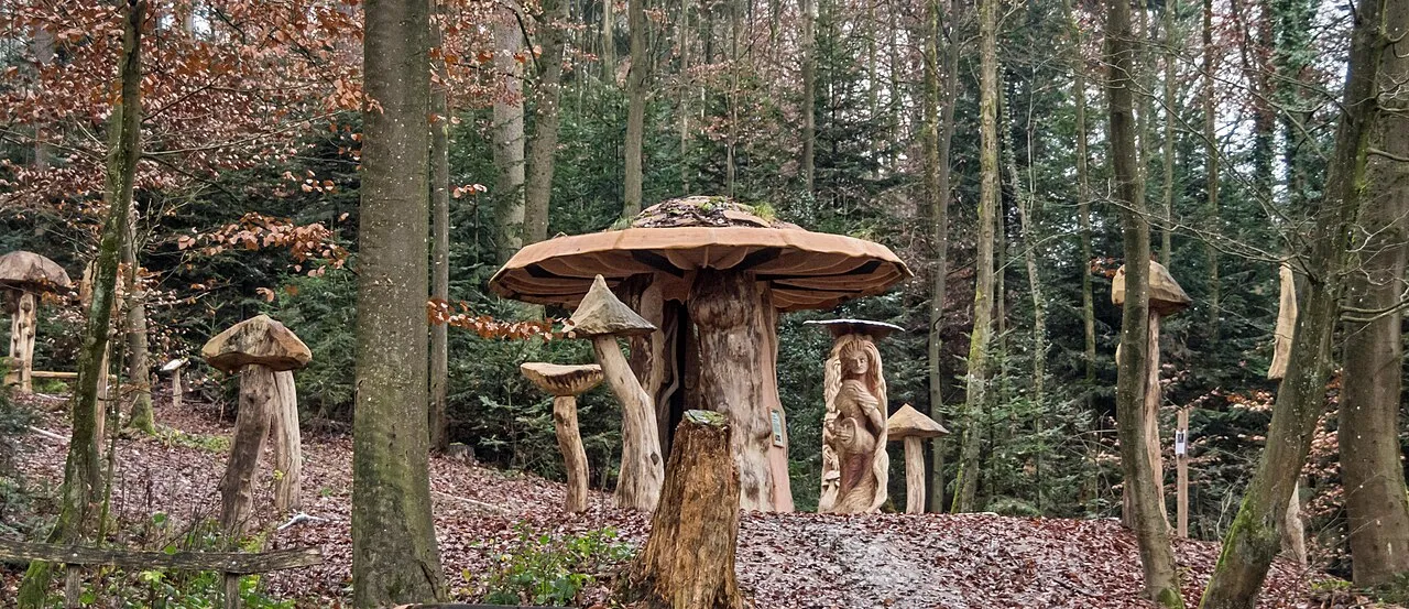 Satanspilz und Hexenring