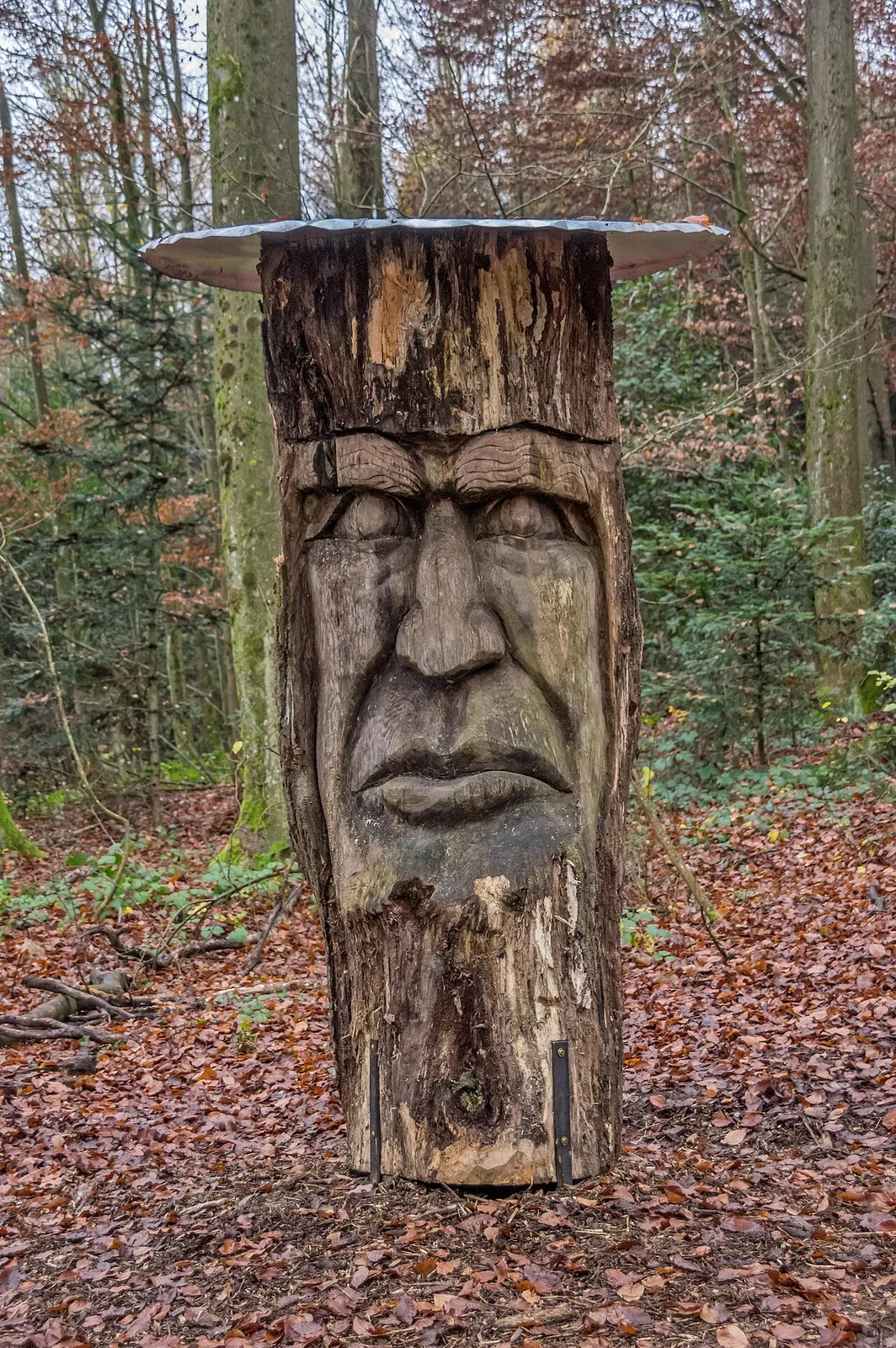 Sternenkopf
