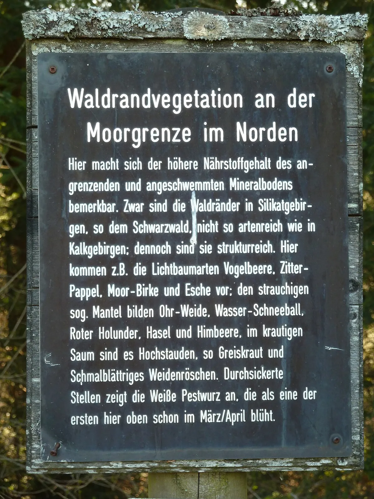 Abnoba