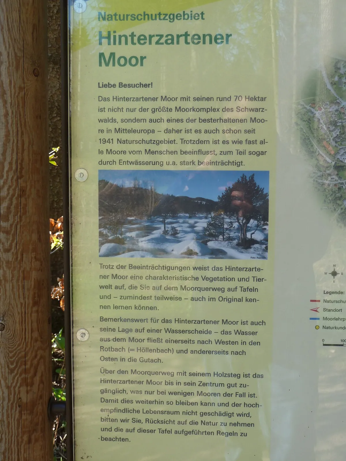 Der Knabe im Moor