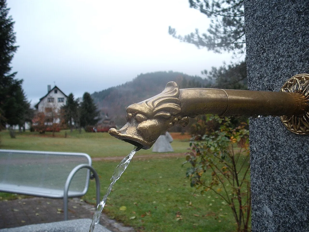 Weißer Stier
