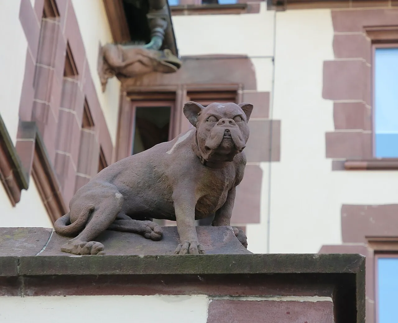 Bulldogge
