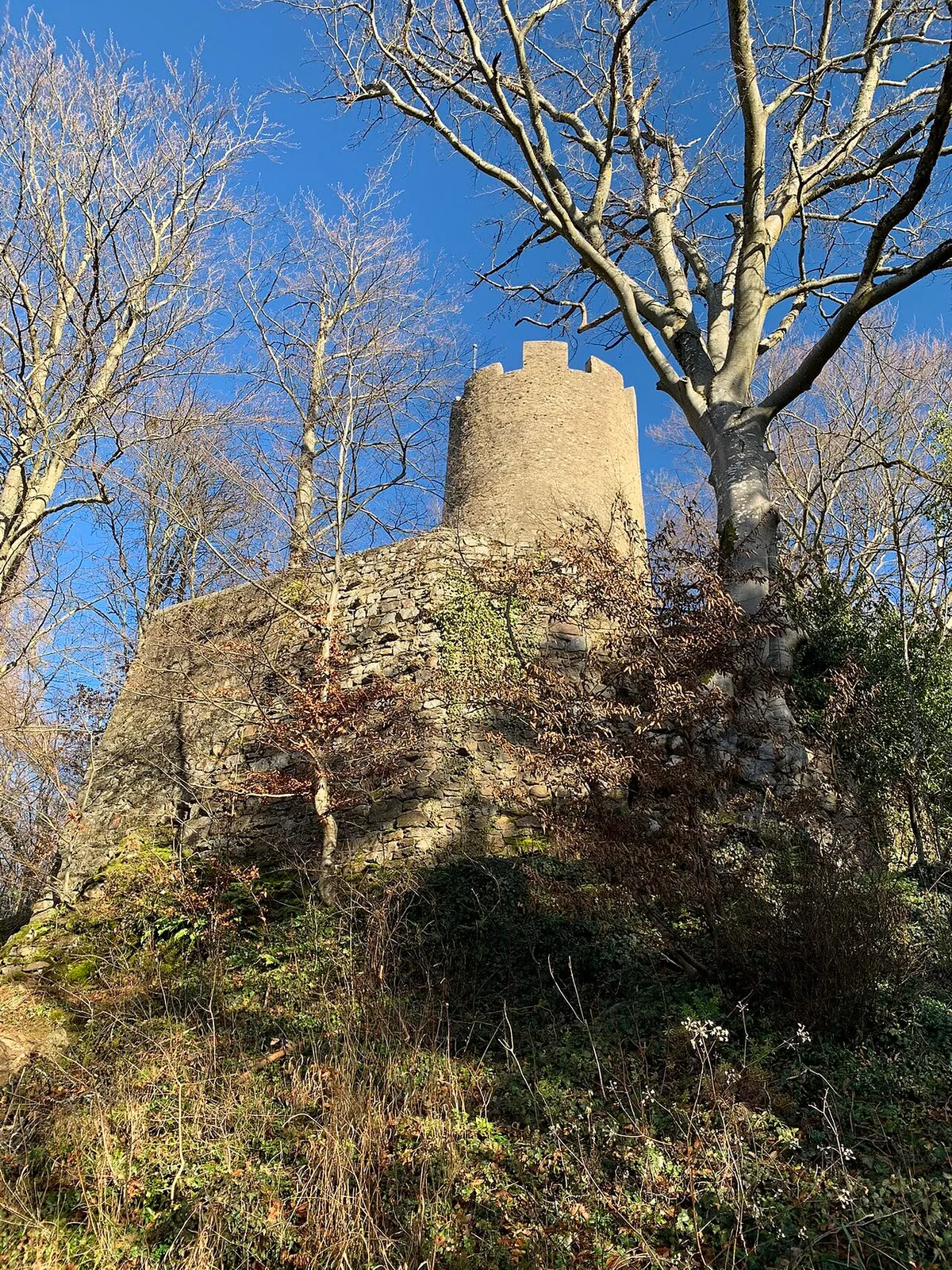 Donjon du château de Zaeringue