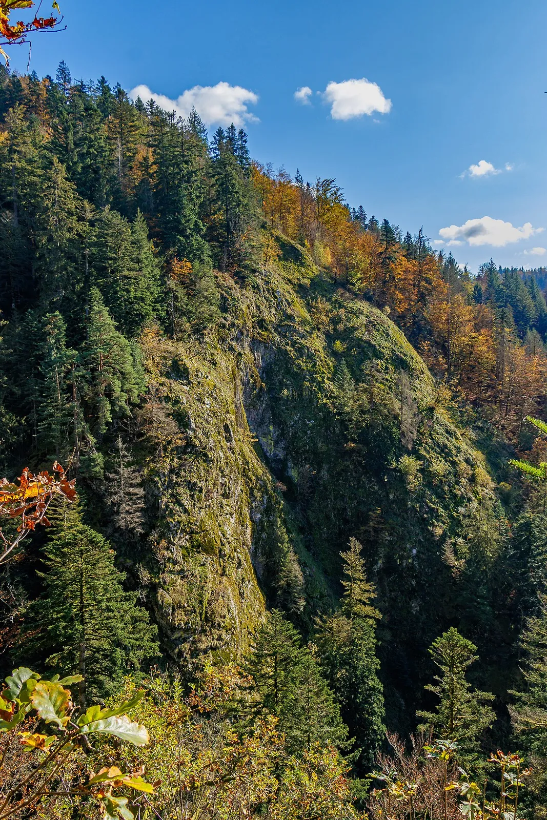 Studentenfelsen