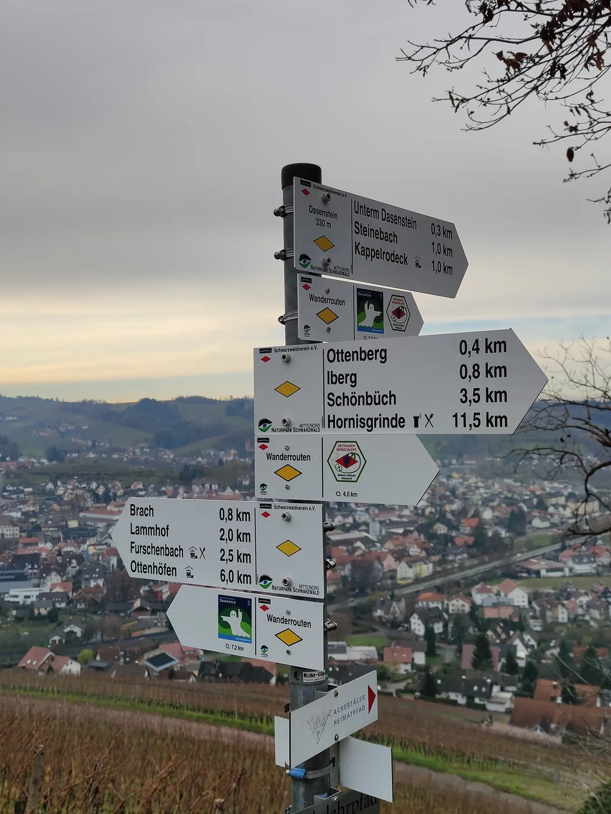 Dasenstein