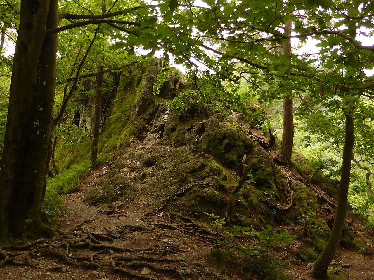 Herrenschrofen