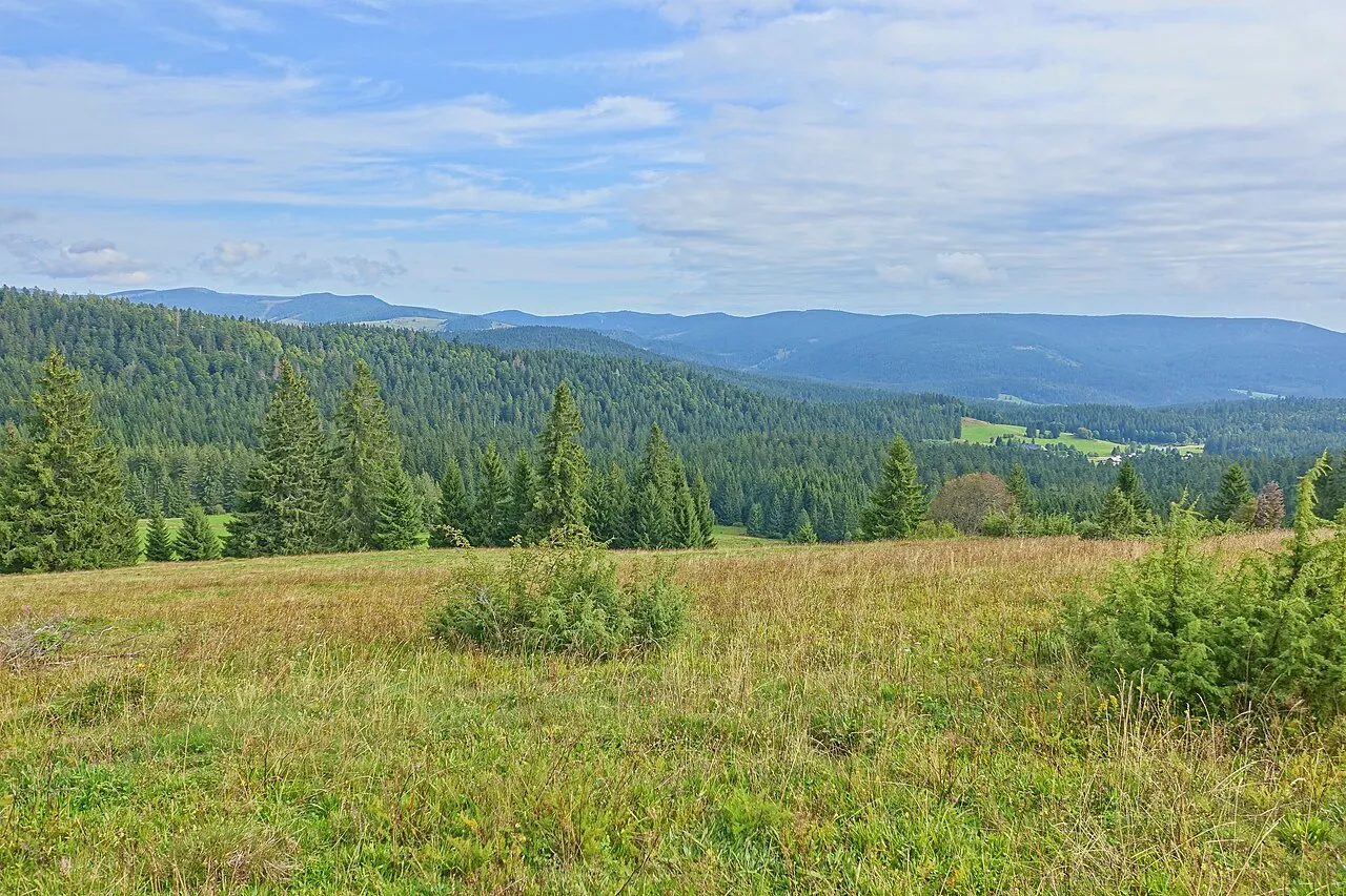 Schwarzwald- und Alpenpanorama