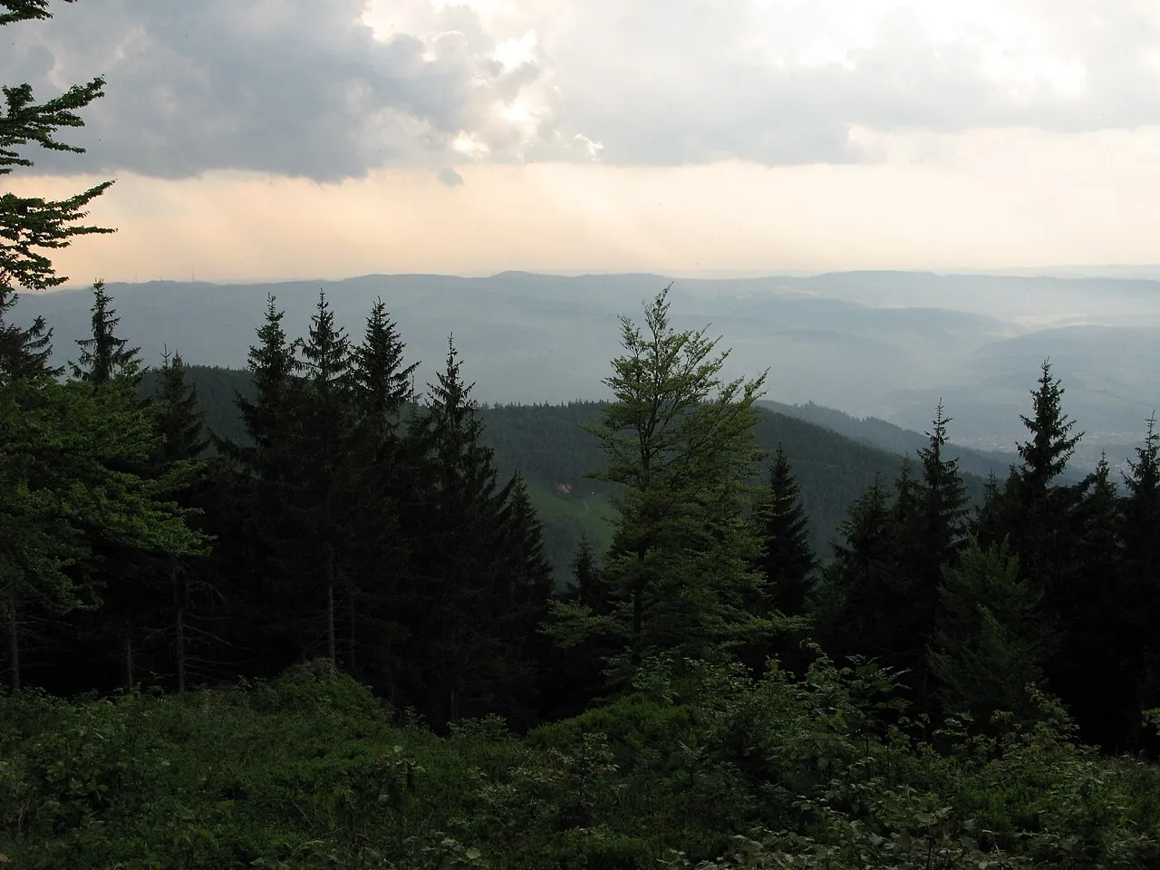 Braunhörnle