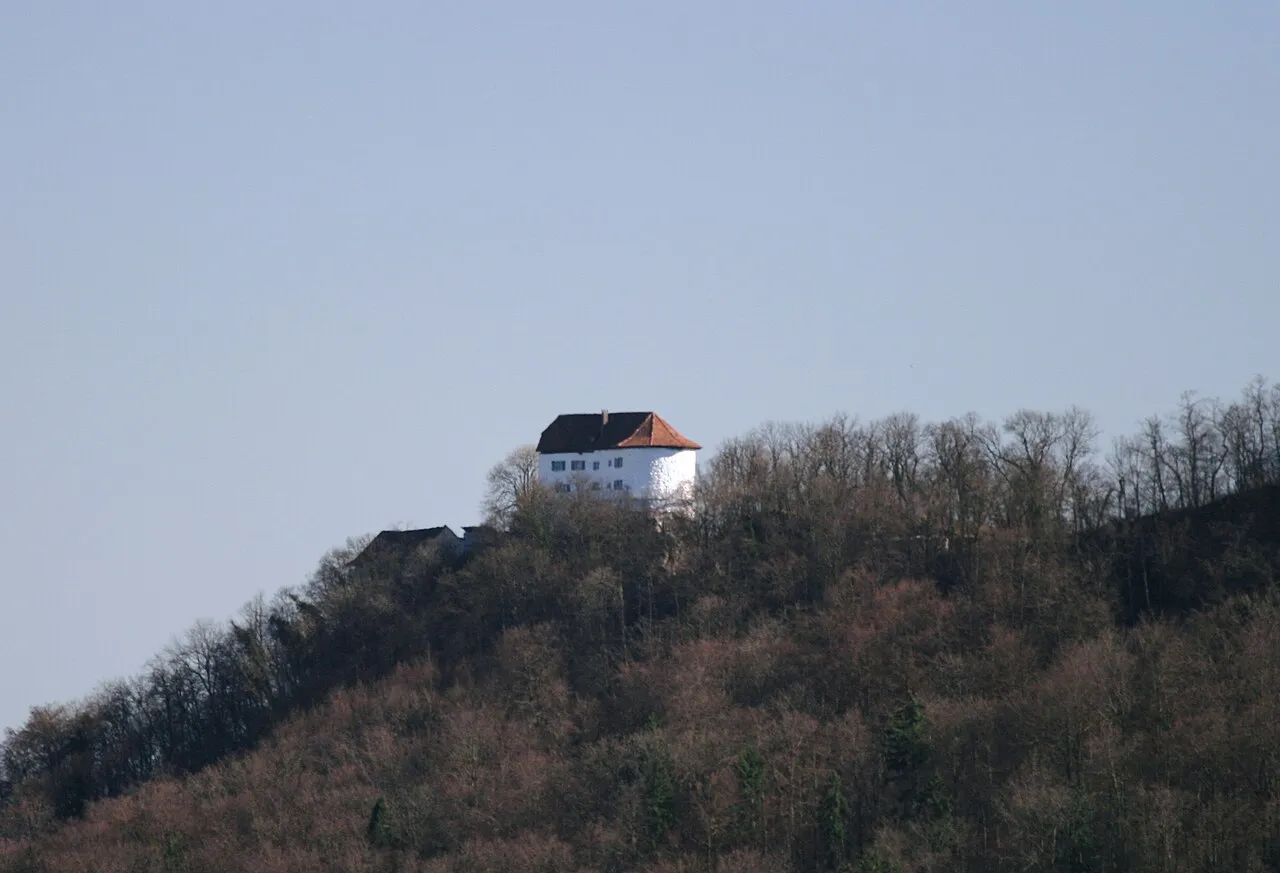 Chestenberg