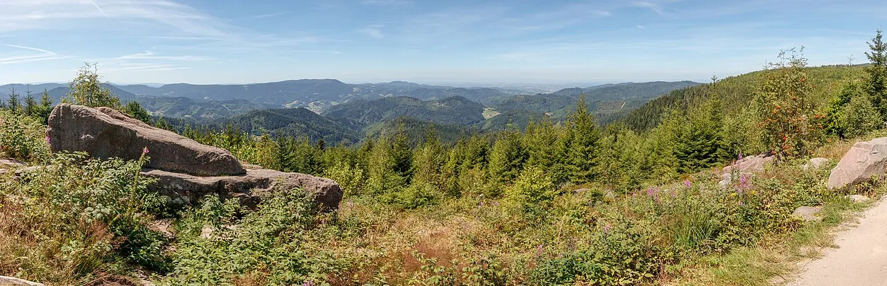 Blick auf Lotharpfad