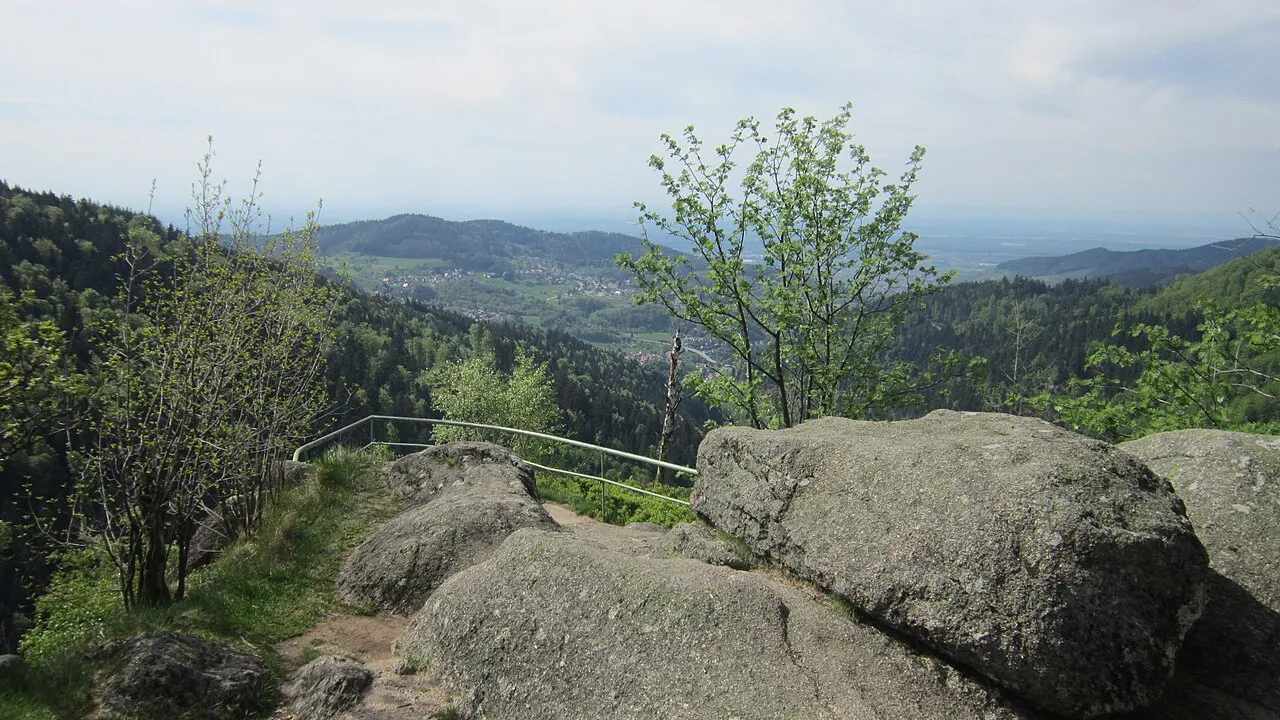 Wiedenfelsen