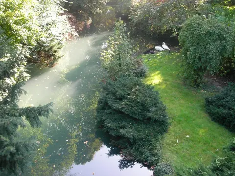 La petite Venise