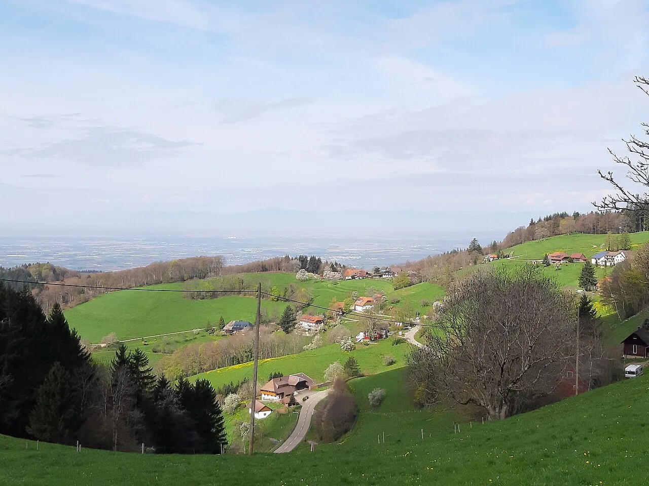 Gerstenhalm