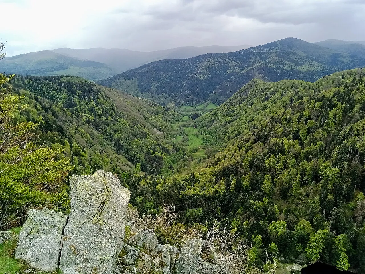 Belvédère 1er Spitzkopf