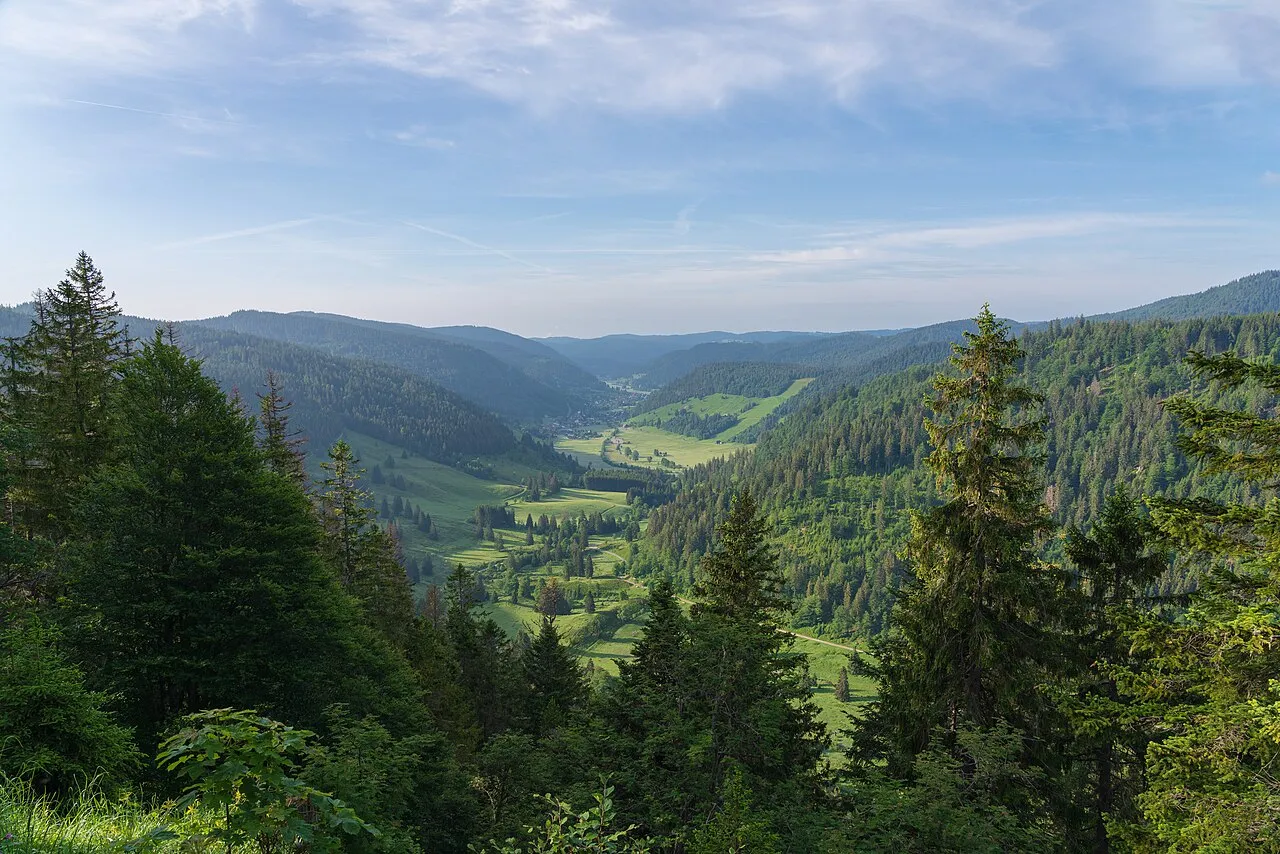 Blick ins Menzenschwander Tal