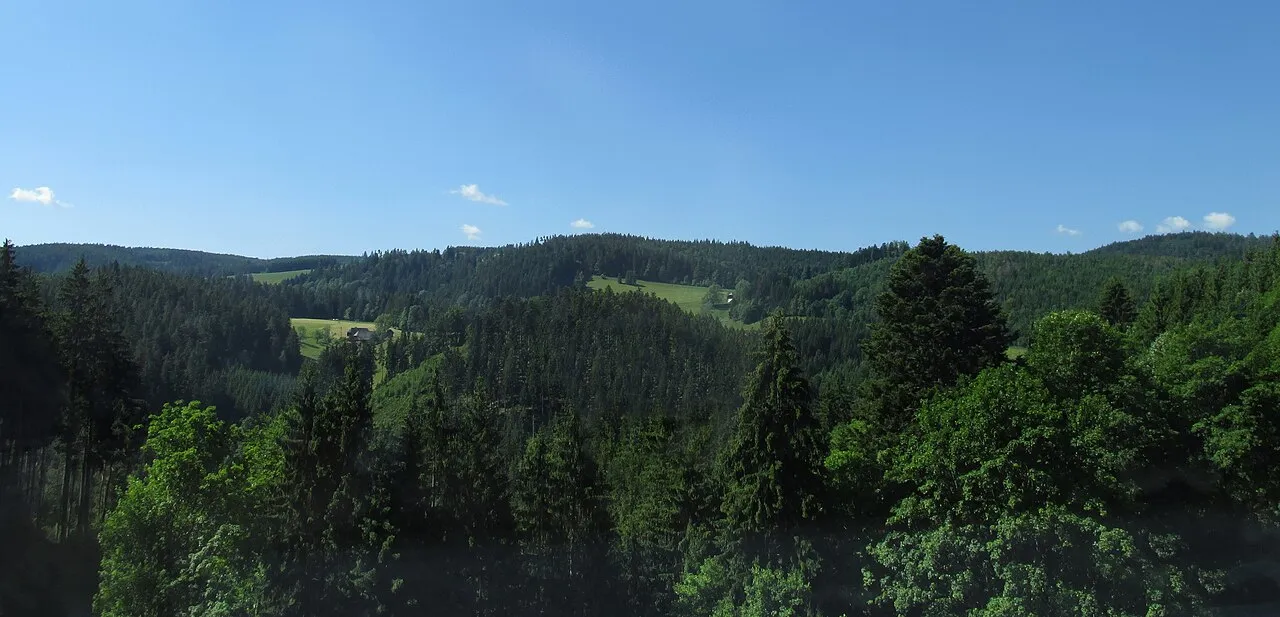Bahnblick