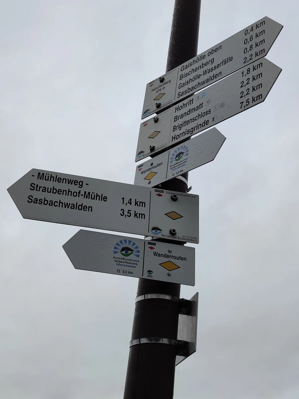 Naturpark-AugenBlick Hörchenberg