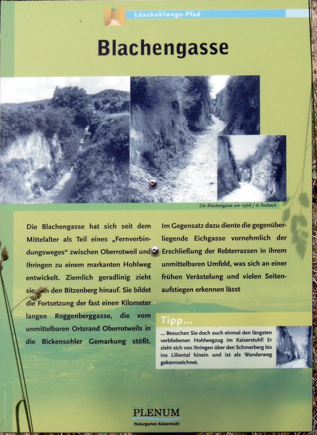 Bickensohl - Kaiserstuhl