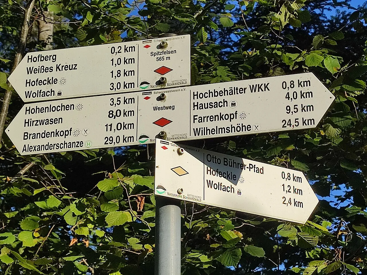 Spitzfelsen