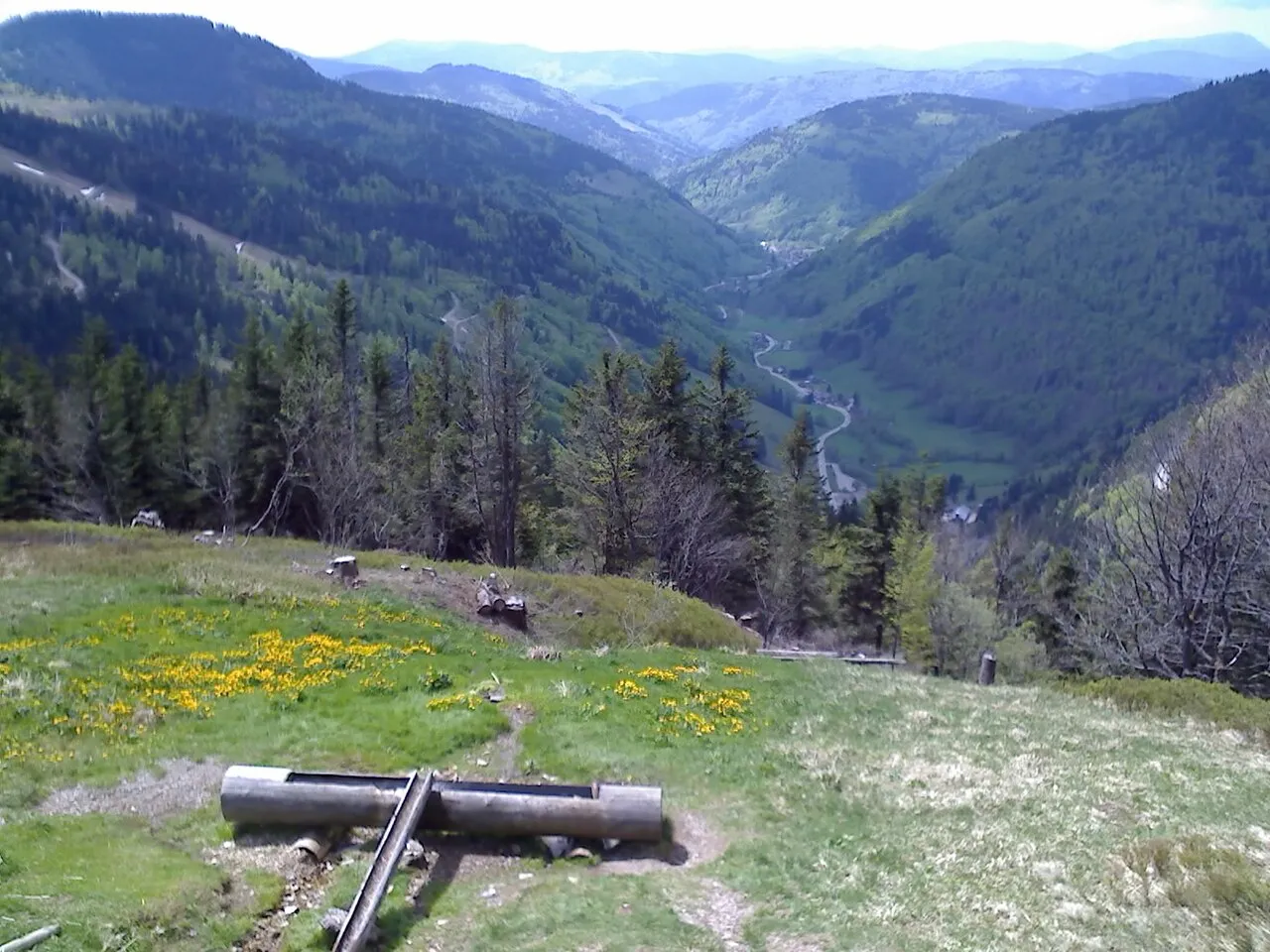 Wiesentalblick