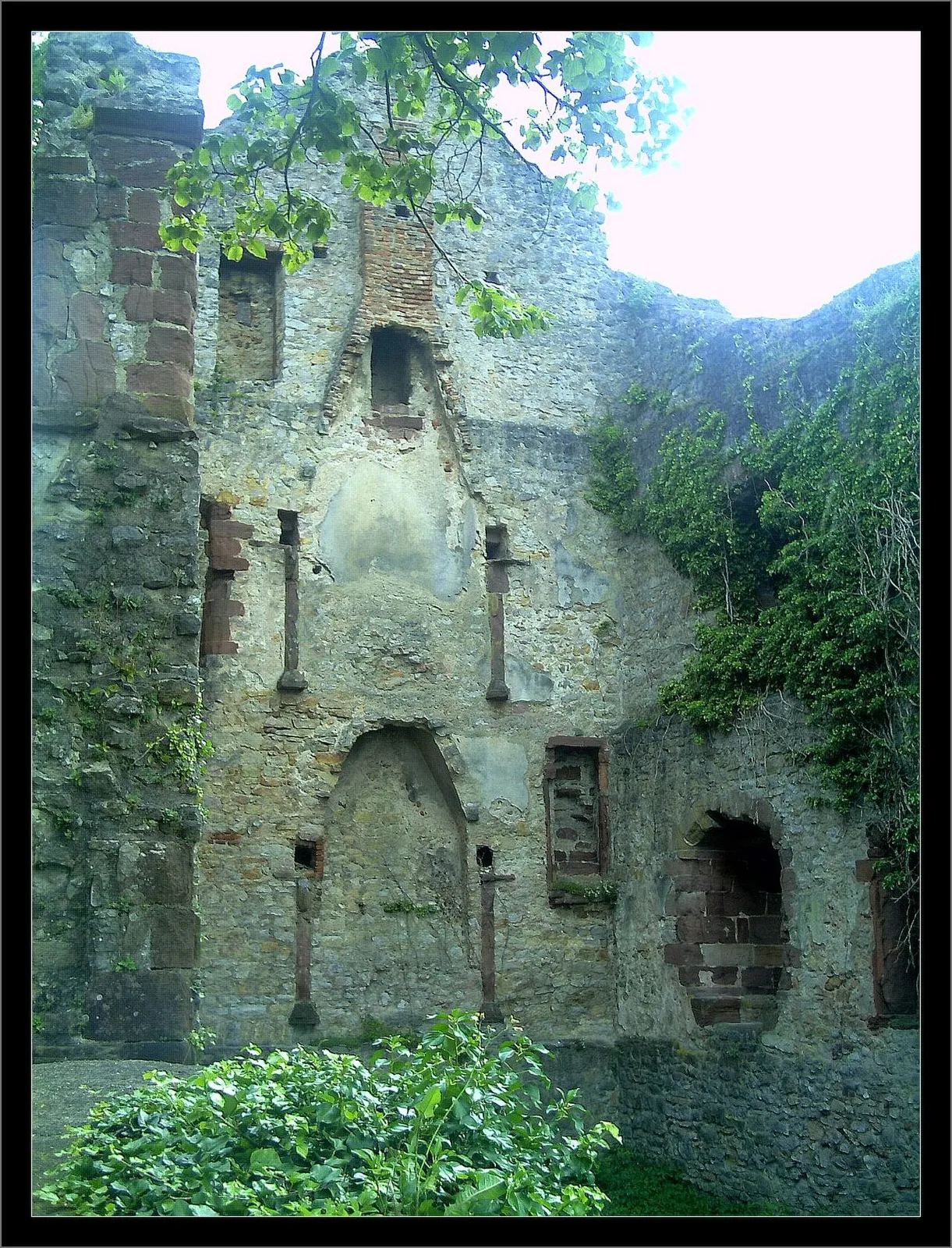 Schwarzwald Kaiserstuhl