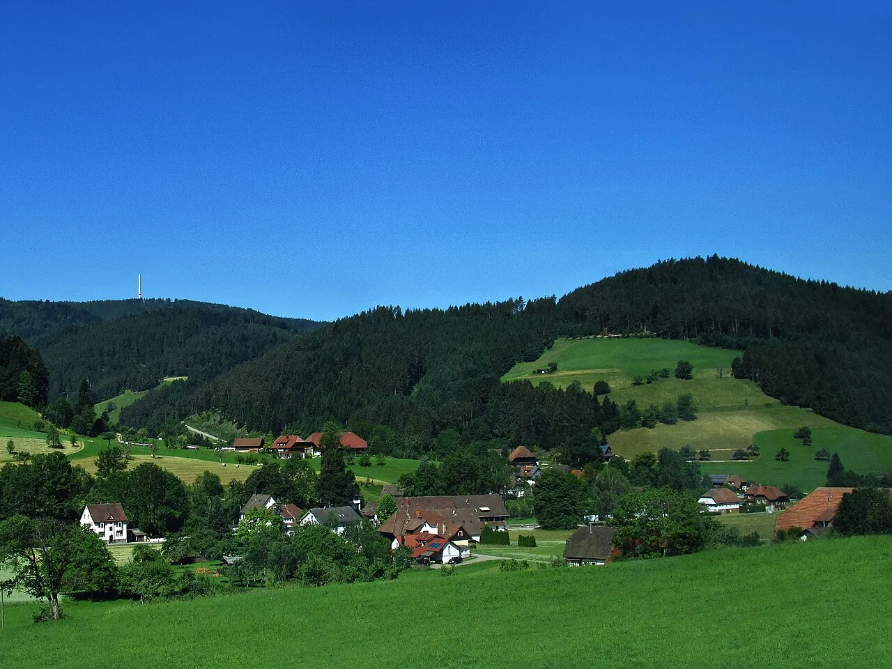 Schloss Hornberg-Blick