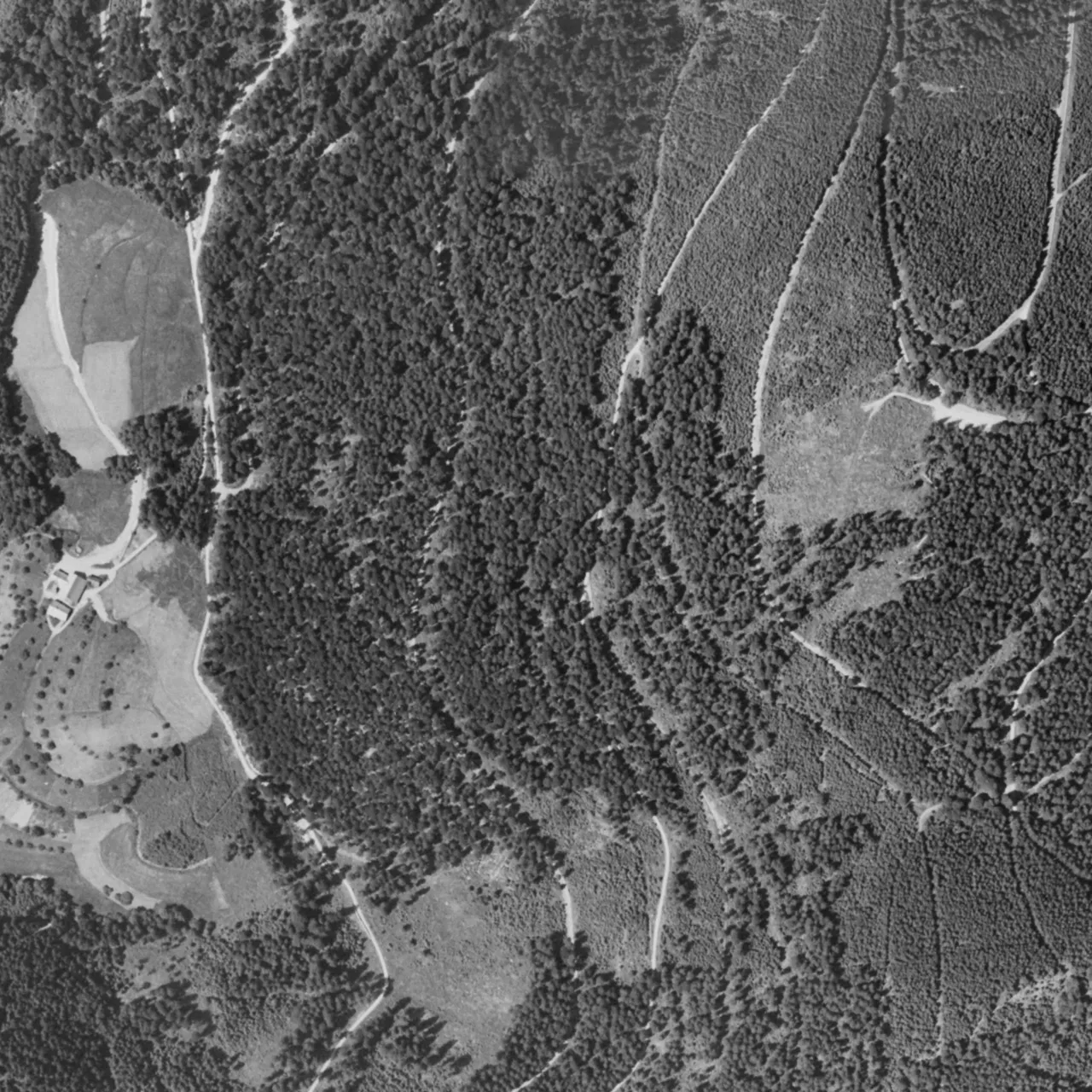 3-Turmblick