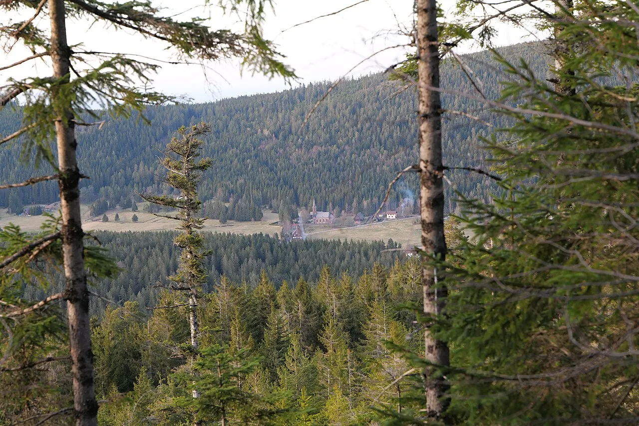 Blick auf Herrenwies und St. Antonius