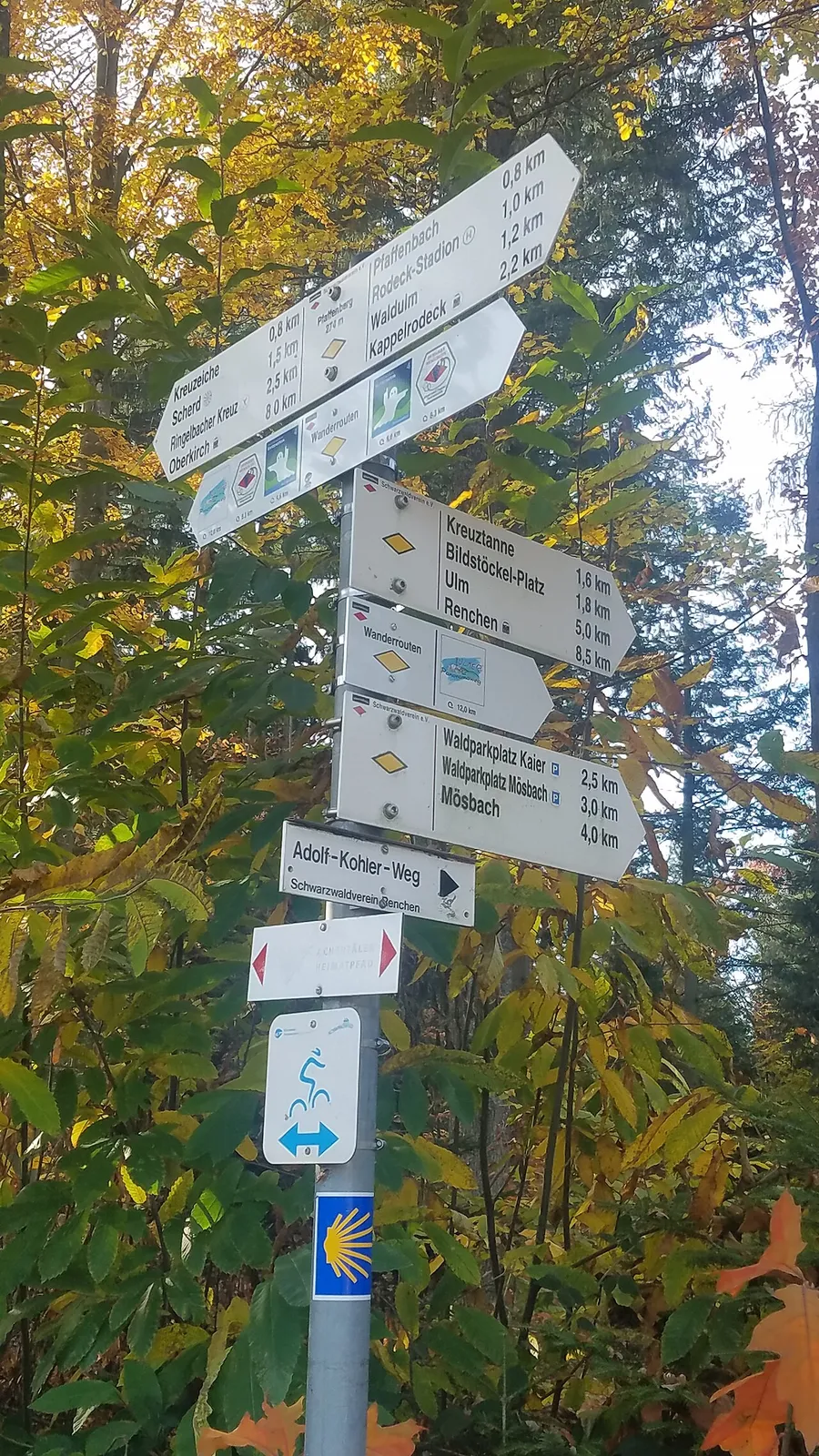 Herzliege