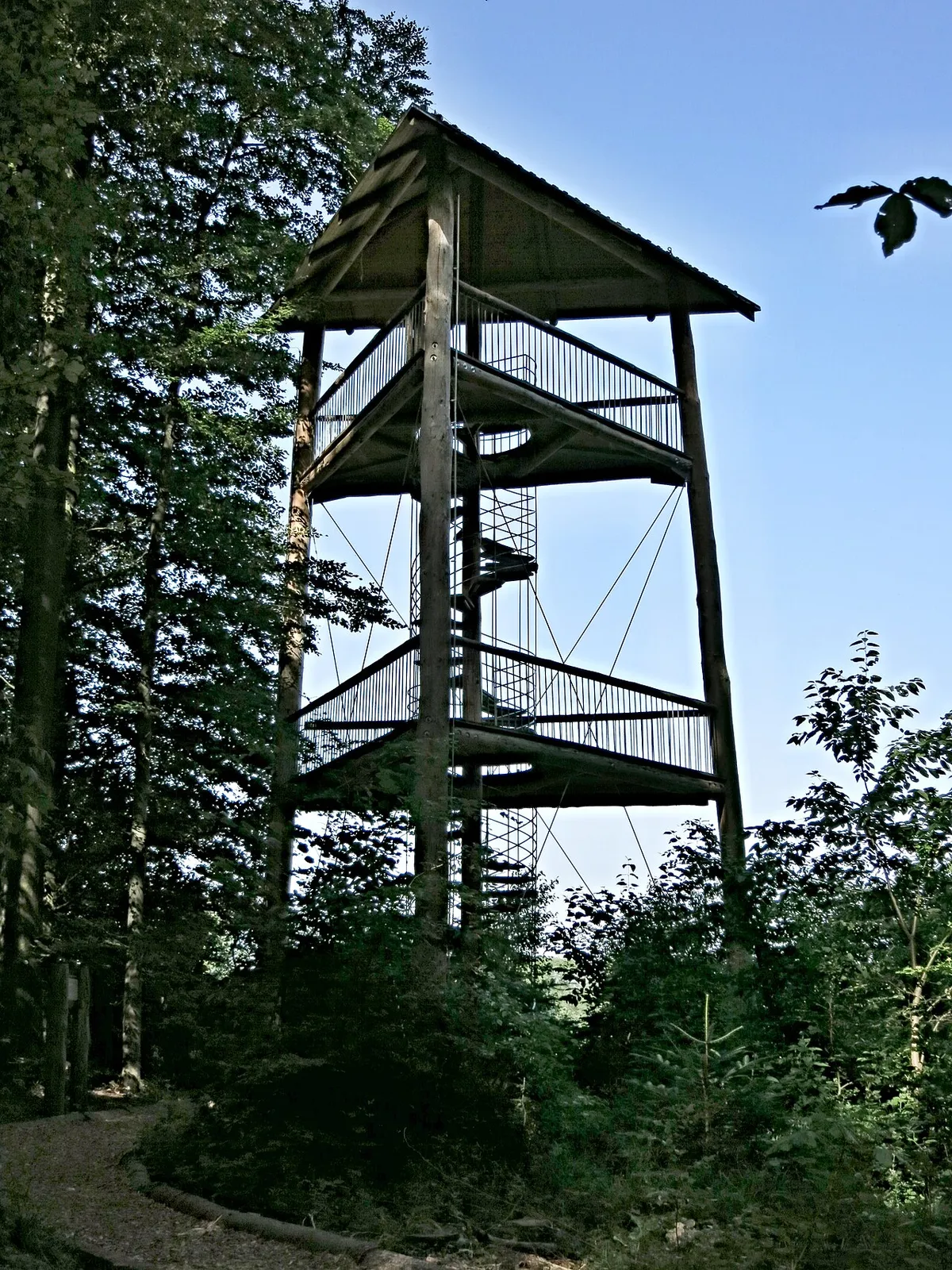Erlebnisturm Waldpfad Binningen