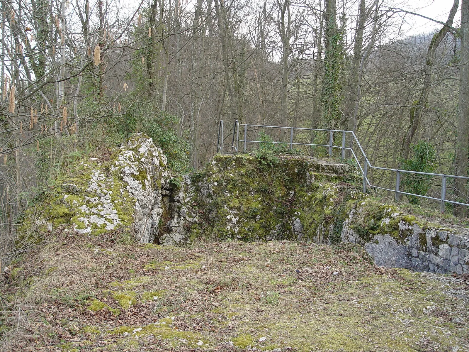 Ruine Engenstein