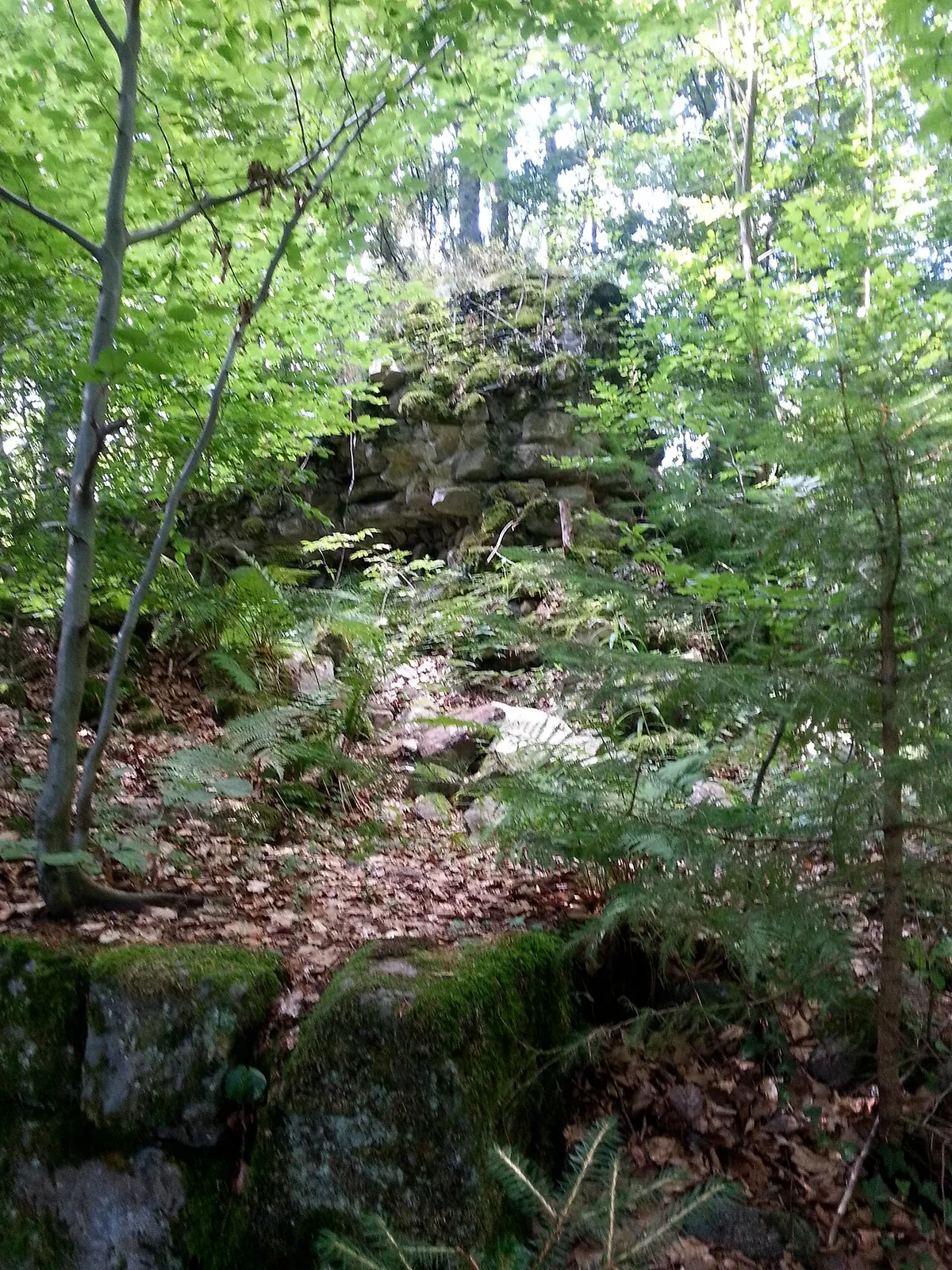 Turmhölzle