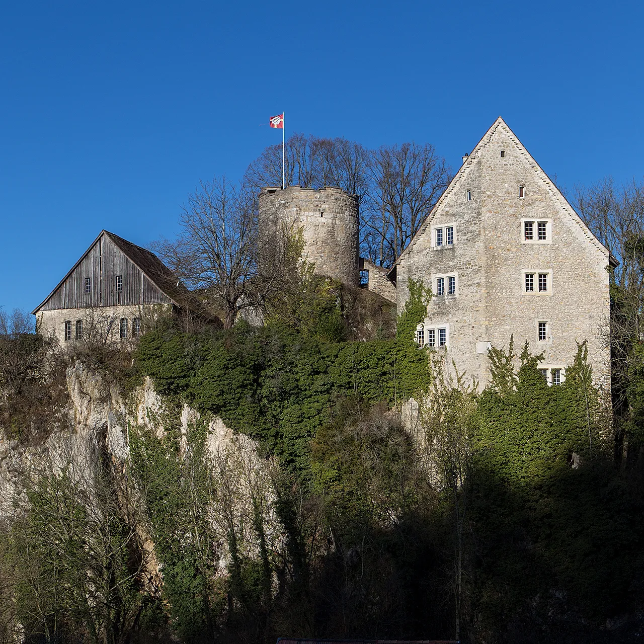 Château de Pleujouse