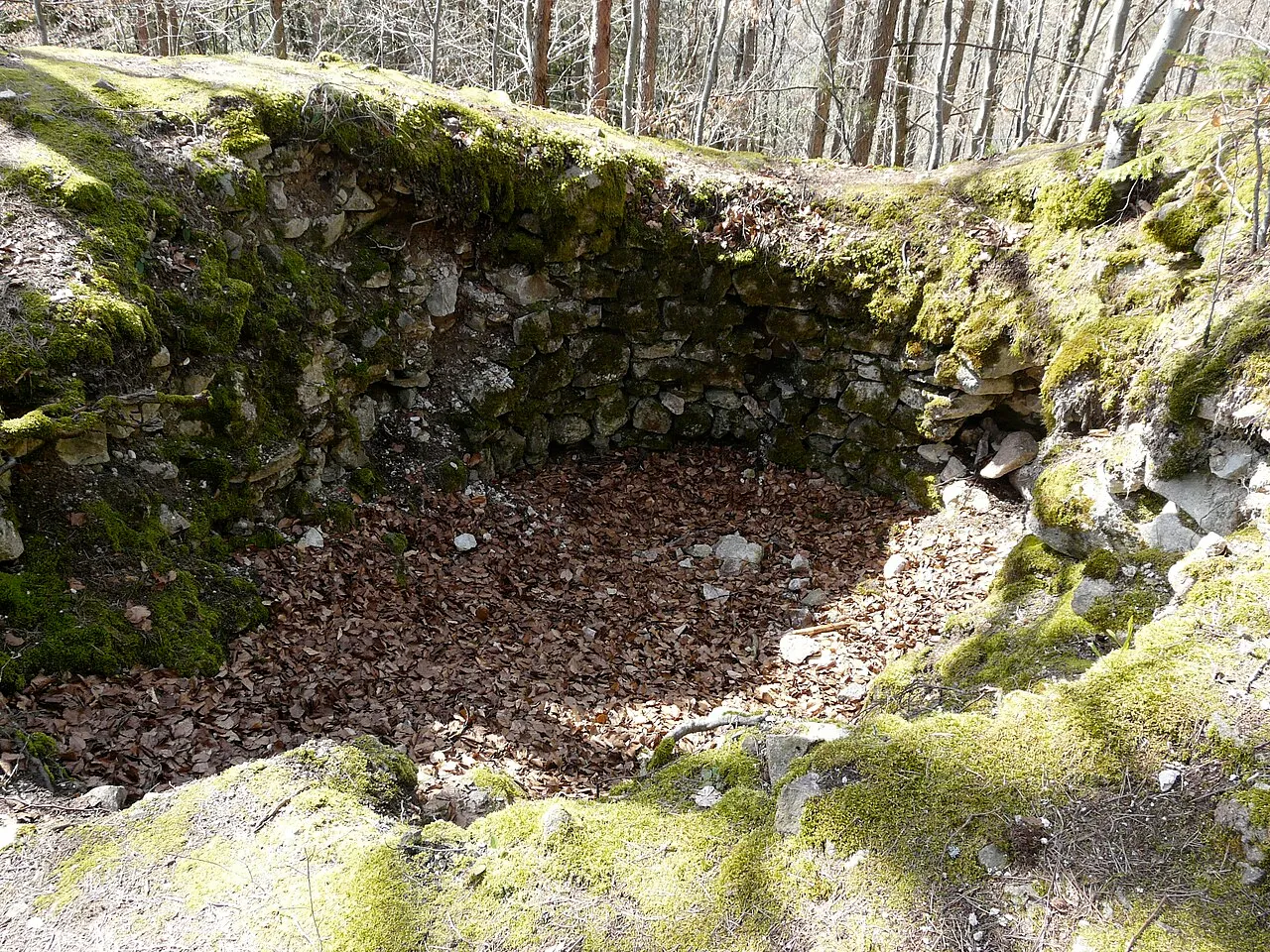 Burgruine Rotenburg