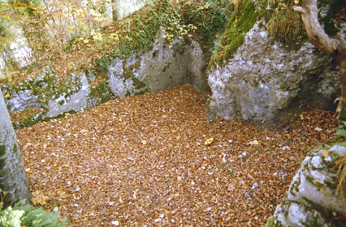 Ruine Bärenfels