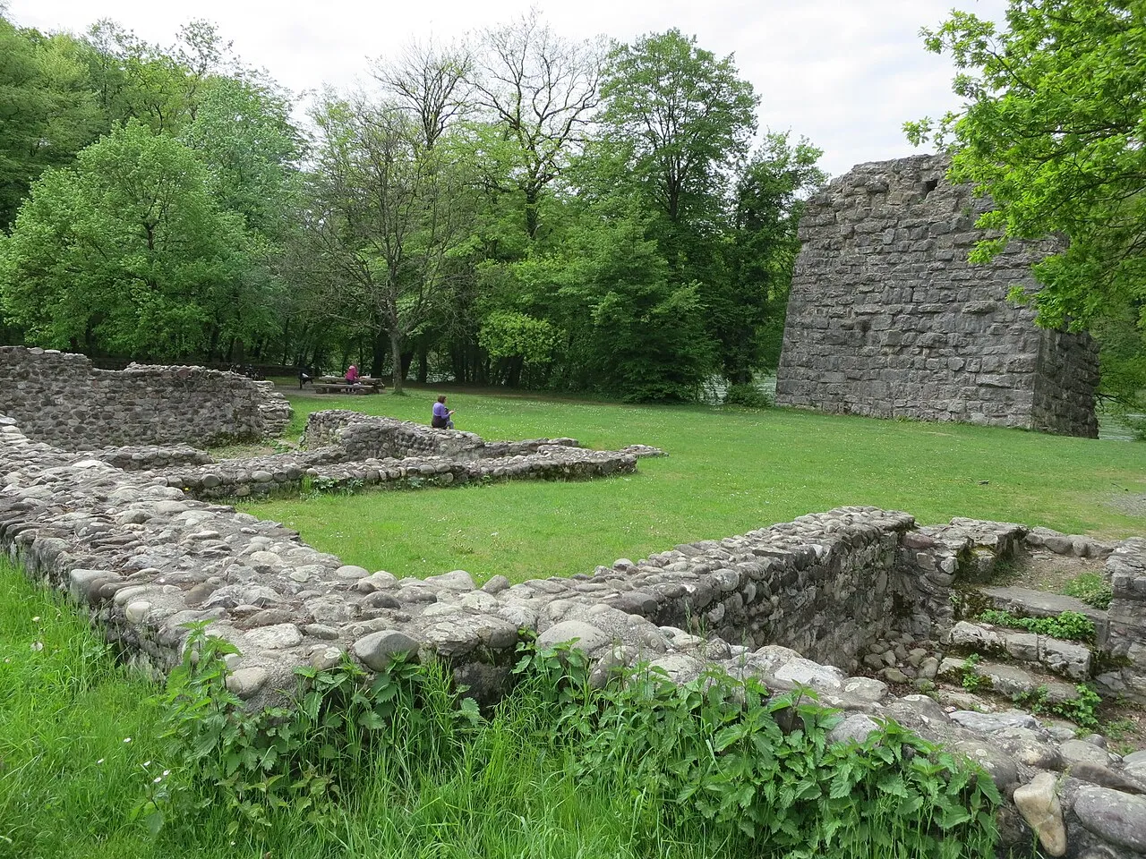 Ruine Freudenau