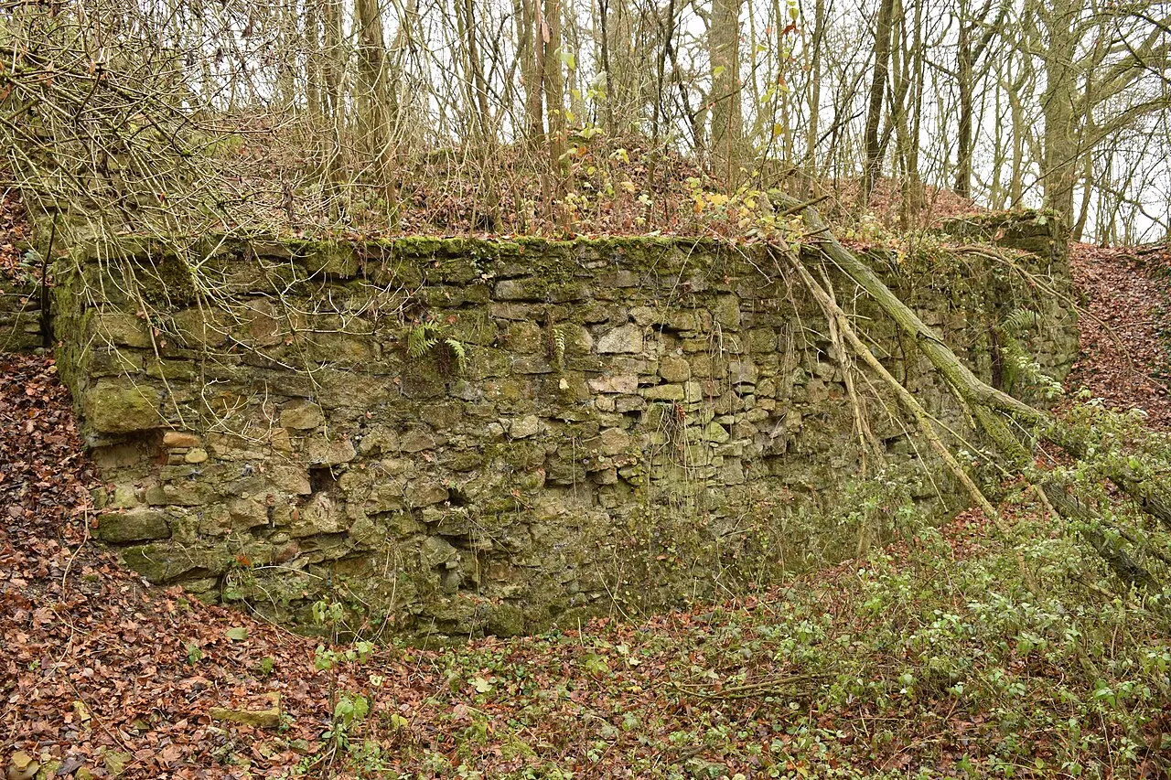 Vestiges du château de Butenheim
