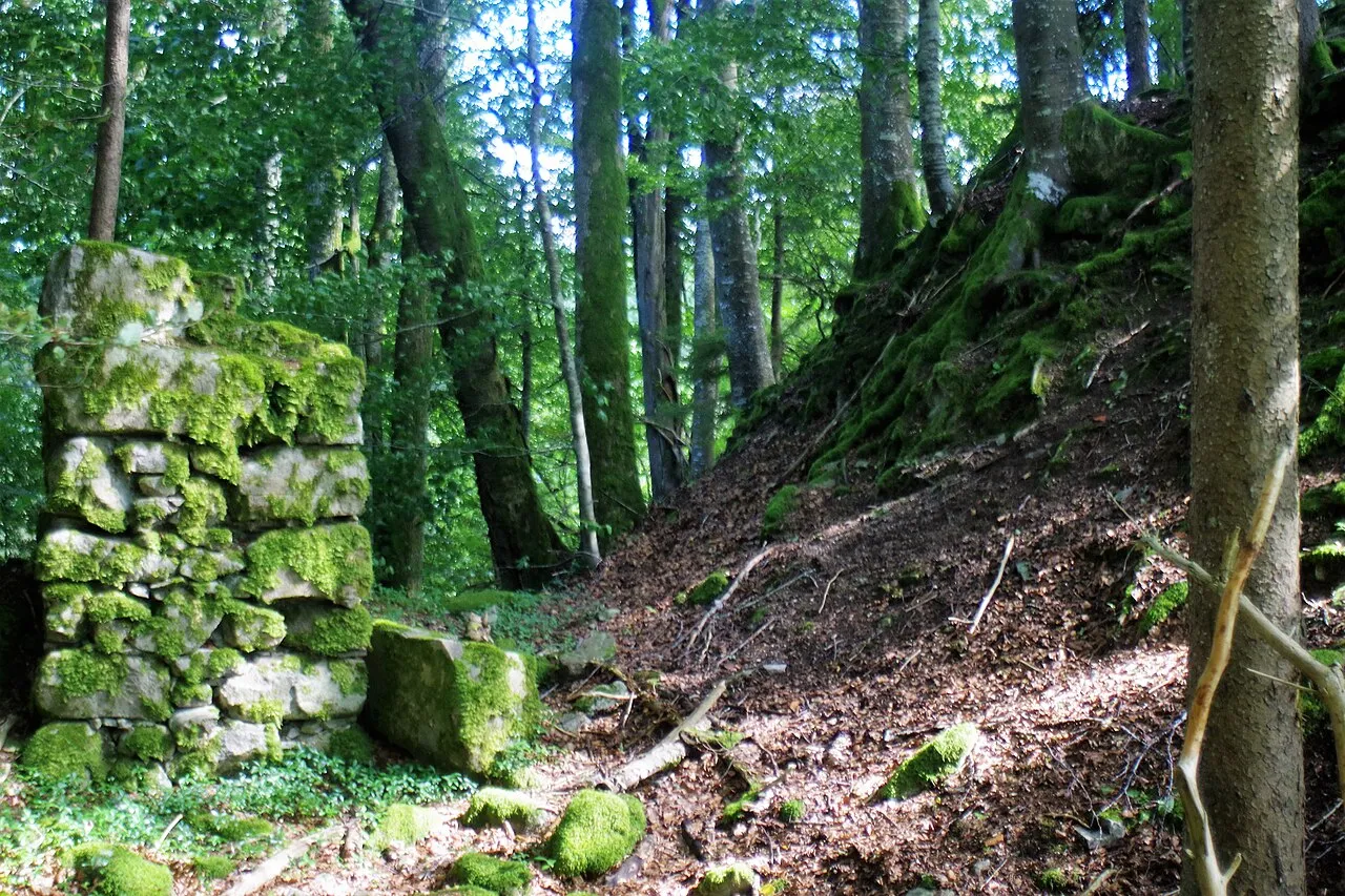 Ruine Mandach